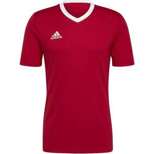 T-shirt adidas Ent22 Jsy - adidas - Modalova