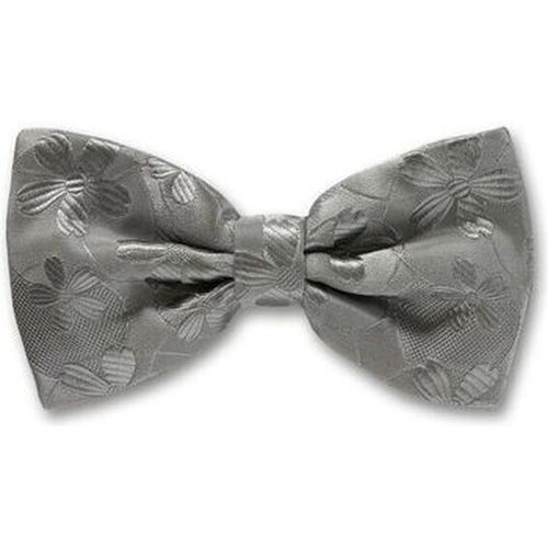 Cravates et accessoires Noeud papillon noué Valentina - Robert Charles - Modalova