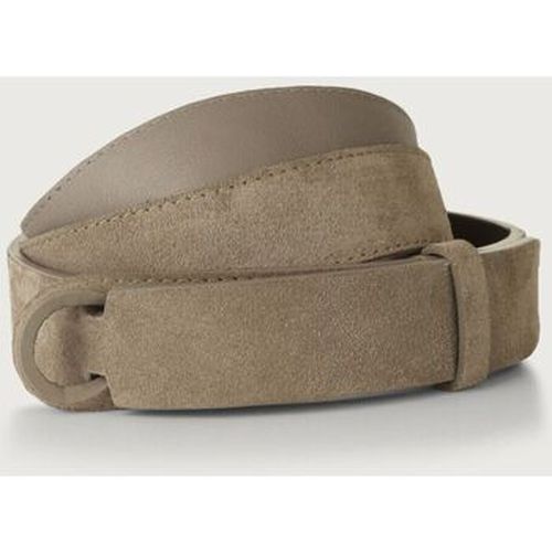 Ceinture NB0060 - CAMOSCIO NOBUCKLE-TAUPE - Orciani - Modalova