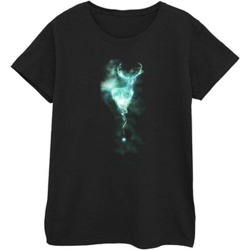 T-shirt Harry Potter Patronus - Harry Potter - Modalova