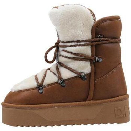 Bottes neige DFSH-371008 - D.Franklin - Modalova