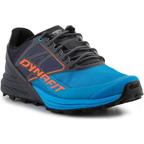 Chaussures Alpine 64064-0752 Magnet/Frost - Dynafit - Modalova