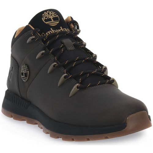 Chaussures SPRINT TREKKER MID CASTELROCK - Timberland - Modalova