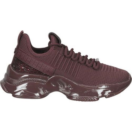 Baskets basses Sneaker - Steve Madden - Modalova