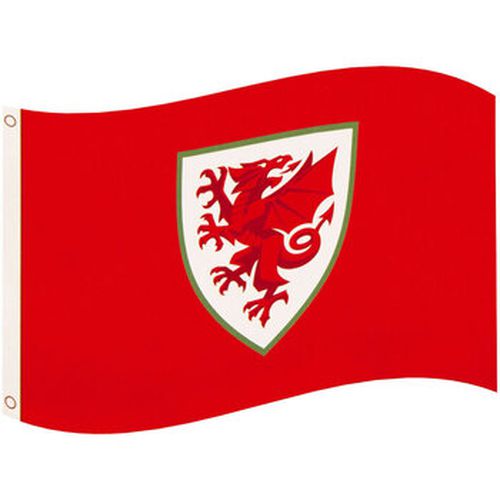 Accessoire sport Fa Wales TA10232 - Fa Wales - Modalova