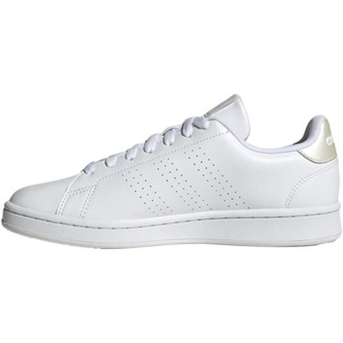 Baskets adidas Advantage - adidas - Modalova