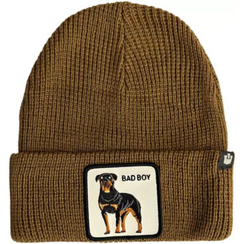 Chapeau chapeau de beanie Bad Boy brun - Goorin Bros - Modalova