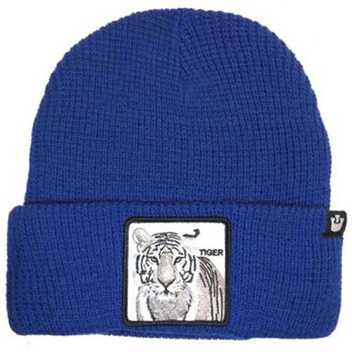 Chapeau 107-0132 STRIPES EARNED-ROYAL BLUE - Goorin Bros - Modalova