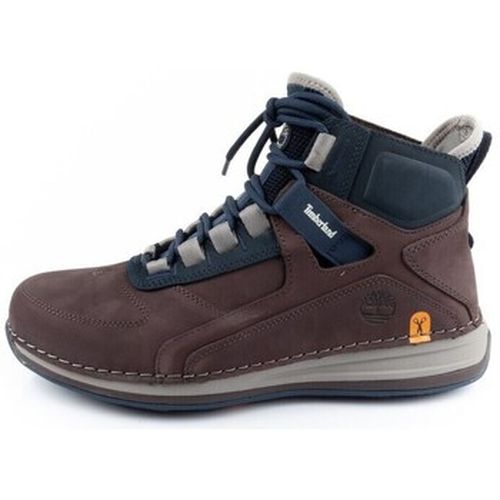 Chaussures Timberland TB0A5MM4V13 - Timberland - Modalova
