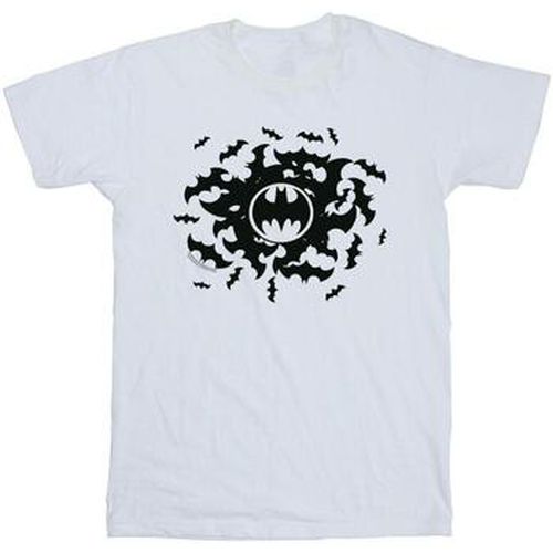 T-shirt Dc Comics BI14055 - Dc Comics - Modalova