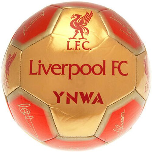 Accessoire sport Liverpool Fc YNWA - Liverpool Fc - Modalova
