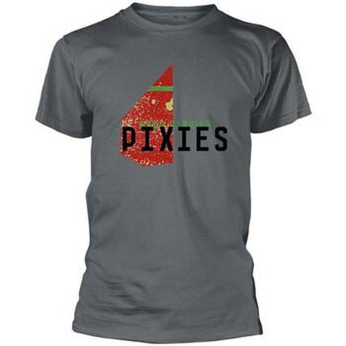 T-shirt Pixies Head Carrier - Pixies - Modalova