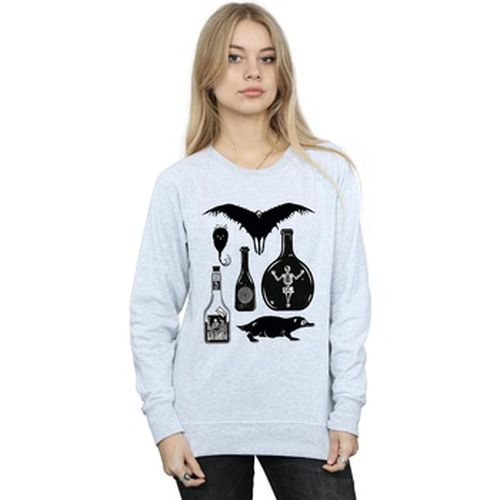 Sweat-shirt BI17231 - Fantastic Beasts - Modalova