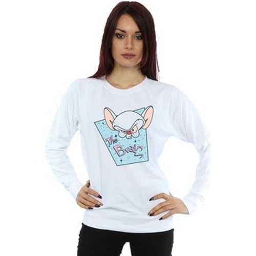 Sweat-shirt Animaniacs BI6073 - Animaniacs - Modalova