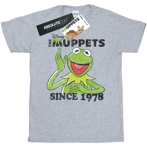 T-shirt The Muppets Kermit Since 1978 - Disney - Modalova