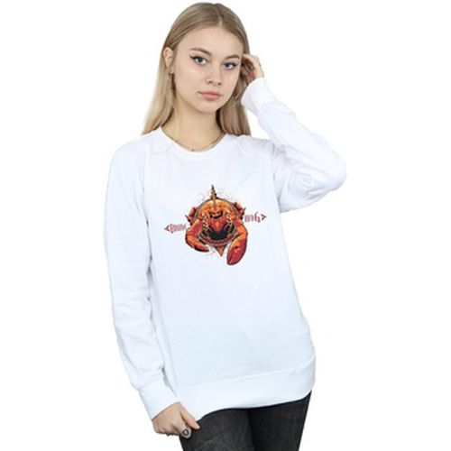 Sweat-shirt Dc Comics BI6450 - Dc Comics - Modalova