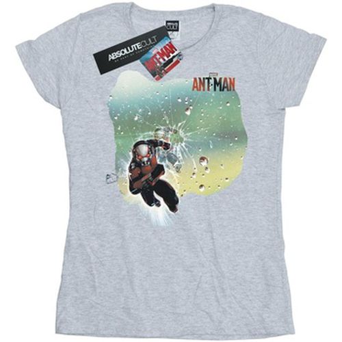 T-shirt Marvel Ant-Man Shatter - Marvel - Modalova