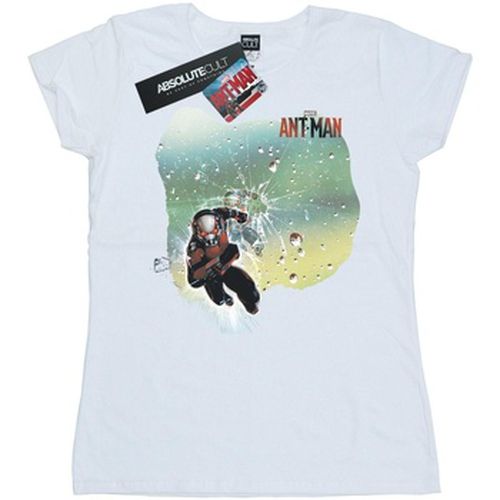 T-shirt Marvel Ant-Man Shatter - Marvel - Modalova