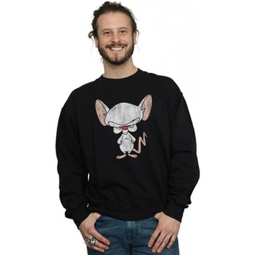 Sweat-shirt Animaniacs BI8151 - Animaniacs - Modalova