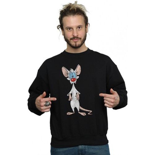 Sweat-shirt Animaniacs BI8152 - Animaniacs - Modalova