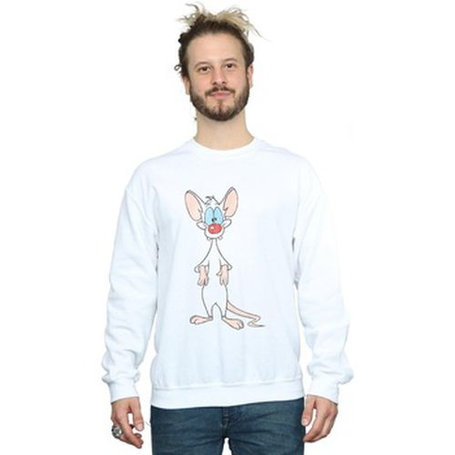 Sweat-shirt Animaniacs BI8152 - Animaniacs - Modalova