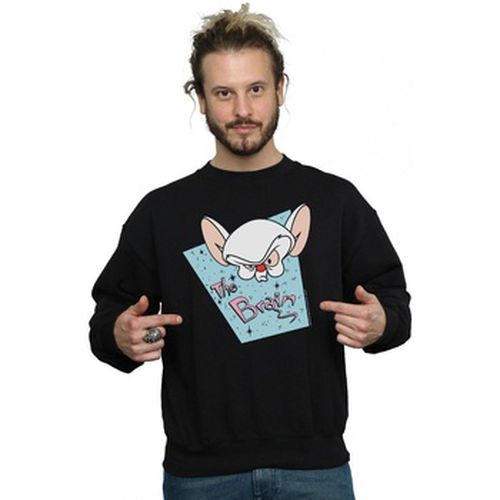 Sweat-shirt Animaniacs BI8191 - Animaniacs - Modalova