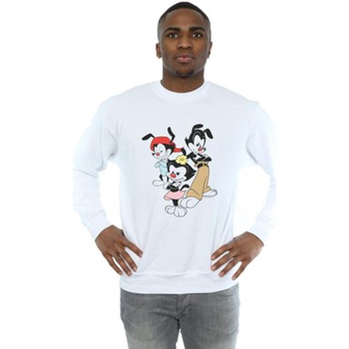 Sweat-shirt Animaniacs BI8264 - Animaniacs - Modalova