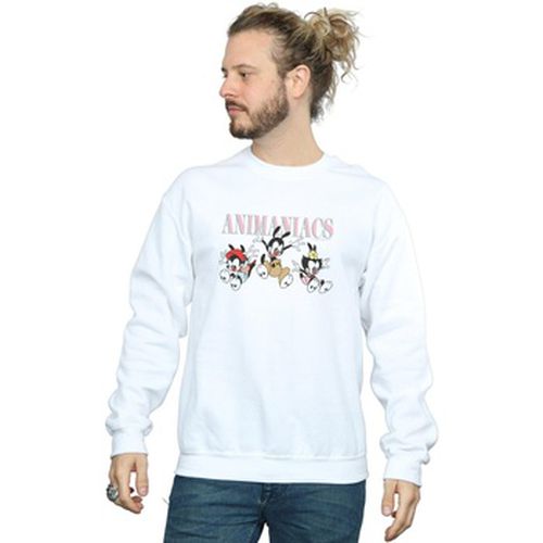 Sweat-shirt Animaniacs BI7950 - Animaniacs - Modalova