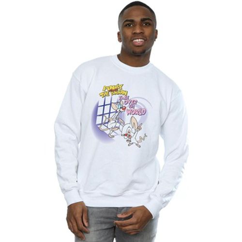 Sweat-shirt Take Over The World - Animaniacs - Modalova