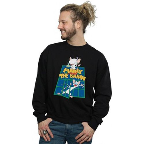 Sweat-shirt Animaniacs BI7984 - Animaniacs - Modalova