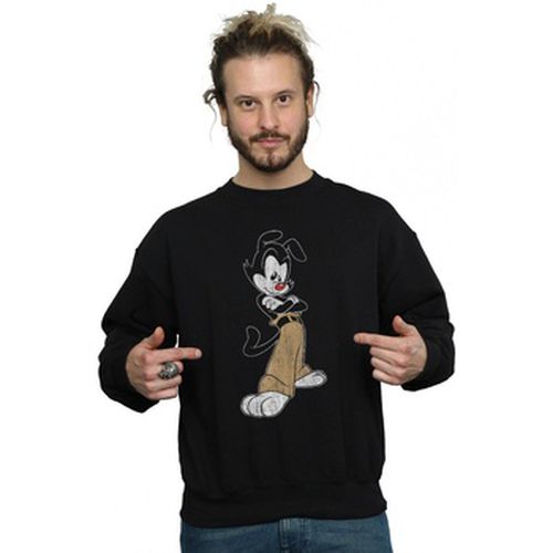 Sweat-shirt Animaniacs BI8064 - Animaniacs - Modalova