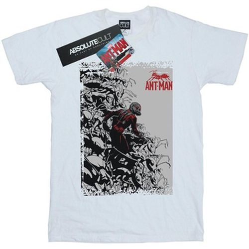 T-shirt Marvel Ant-Man Army - Marvel - Modalova