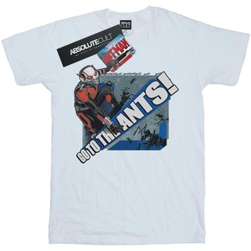 T-shirt Ant-Man Go To The Ants - Marvel - Modalova