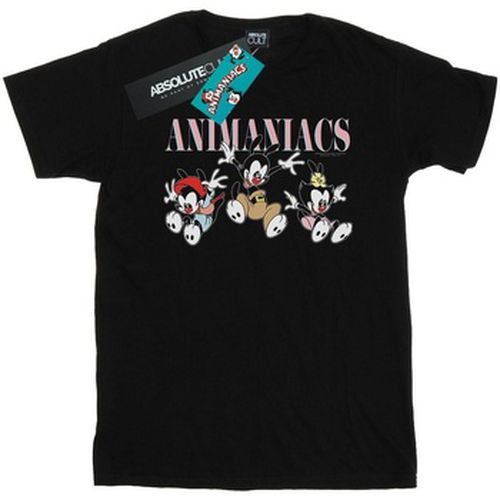 T-shirt Animaniacs BI9099 - Animaniacs - Modalova