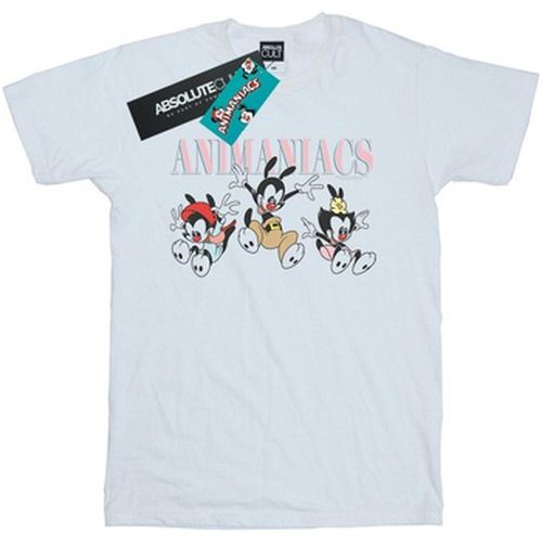 T-shirt Animaniacs BI9099 - Animaniacs - Modalova