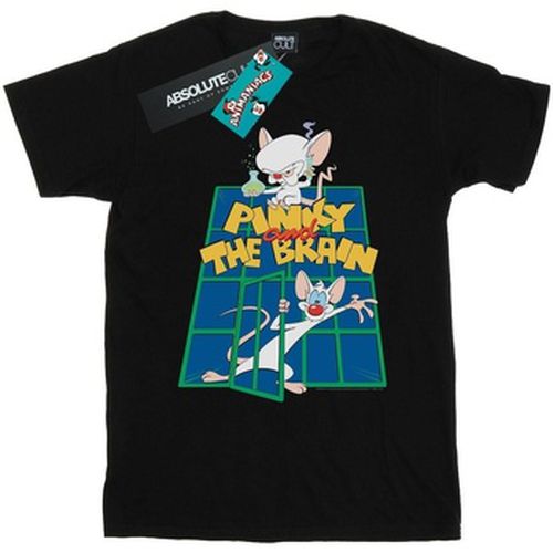 T-shirt Animaniacs BI9138 - Animaniacs - Modalova