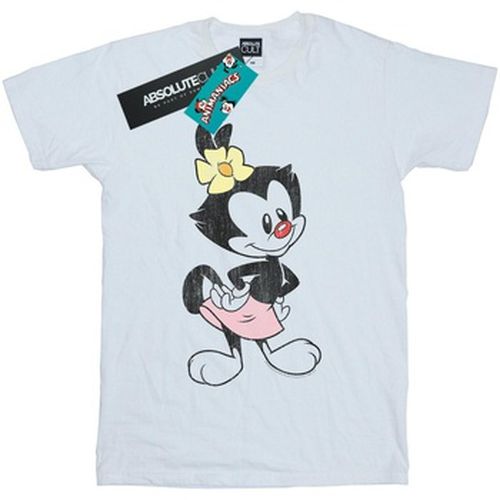 T-shirt Animaniacs BI9175 - Animaniacs - Modalova