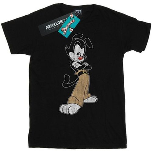 T-shirt Animaniacs BI9214 - Animaniacs - Modalova