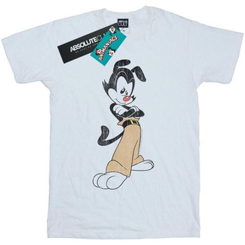 T-shirt Animaniacs BI9214 - Animaniacs - Modalova