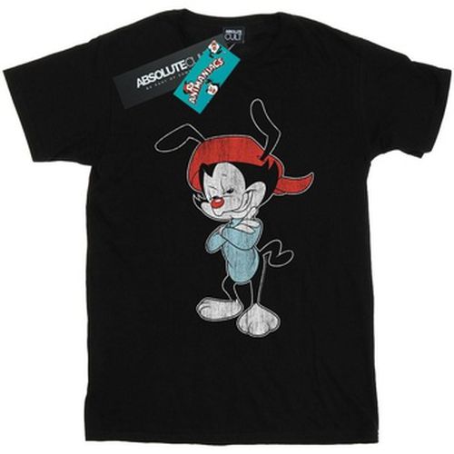 T-shirt Animaniacs BI9249 - Animaniacs - Modalova