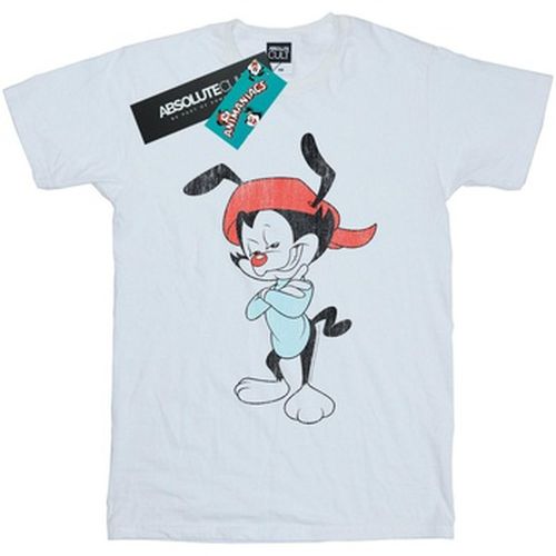 T-shirt Animaniacs BI9249 - Animaniacs - Modalova