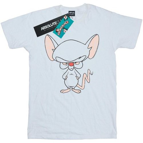 T-shirt The Brain Classic Pose - Animaniacs - Modalova