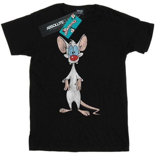 T-shirt Animaniacs BI9284 - Animaniacs - Modalova