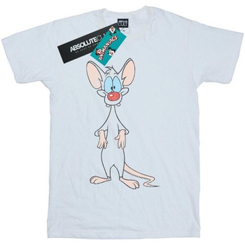 T-shirt Animaniacs BI9284 - Animaniacs - Modalova