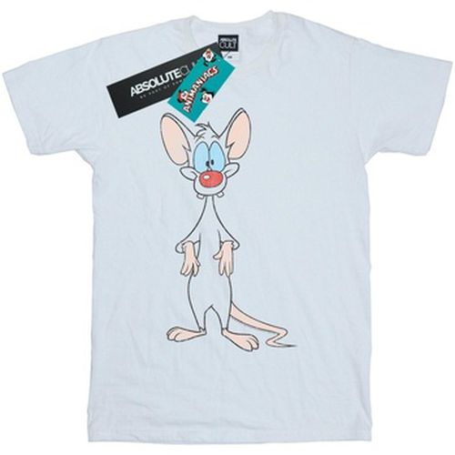 T-shirt Pinky Classic Pose - Animaniacs - Modalova