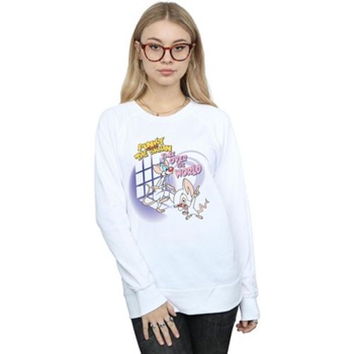 Sweat-shirt Take Over The World - Animaniacs - Modalova