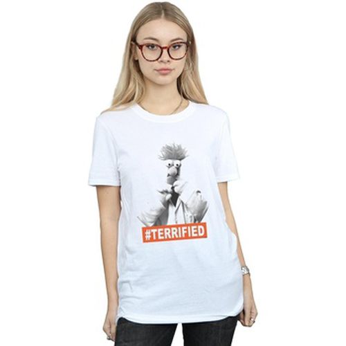 T-shirt The Muppets Beaker Terrified - Disney - Modalova