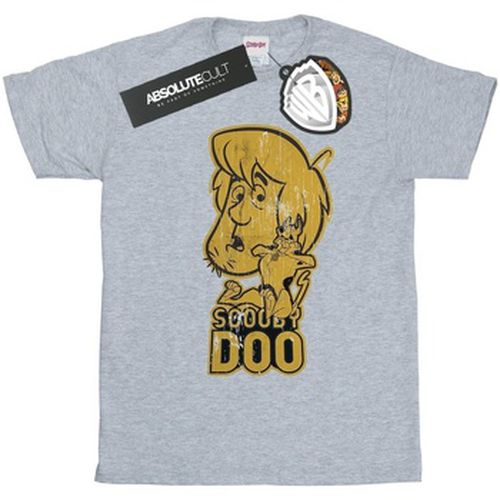 T-shirt Scooby Doo BI44971 - Scooby Doo - Modalova