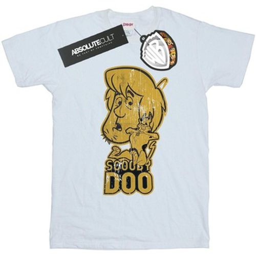 T-shirt Scooby Doo BI44971 - Scooby Doo - Modalova