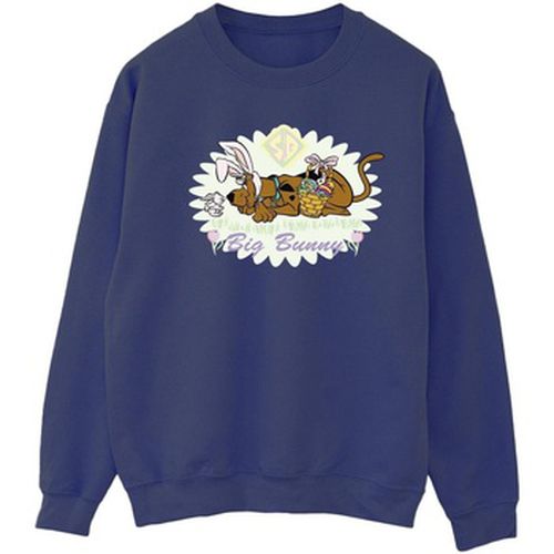 Sweat-shirt Scooby Doo BI50791 - Scooby Doo - Modalova